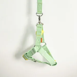 Candy Crayon Harness - Light Green