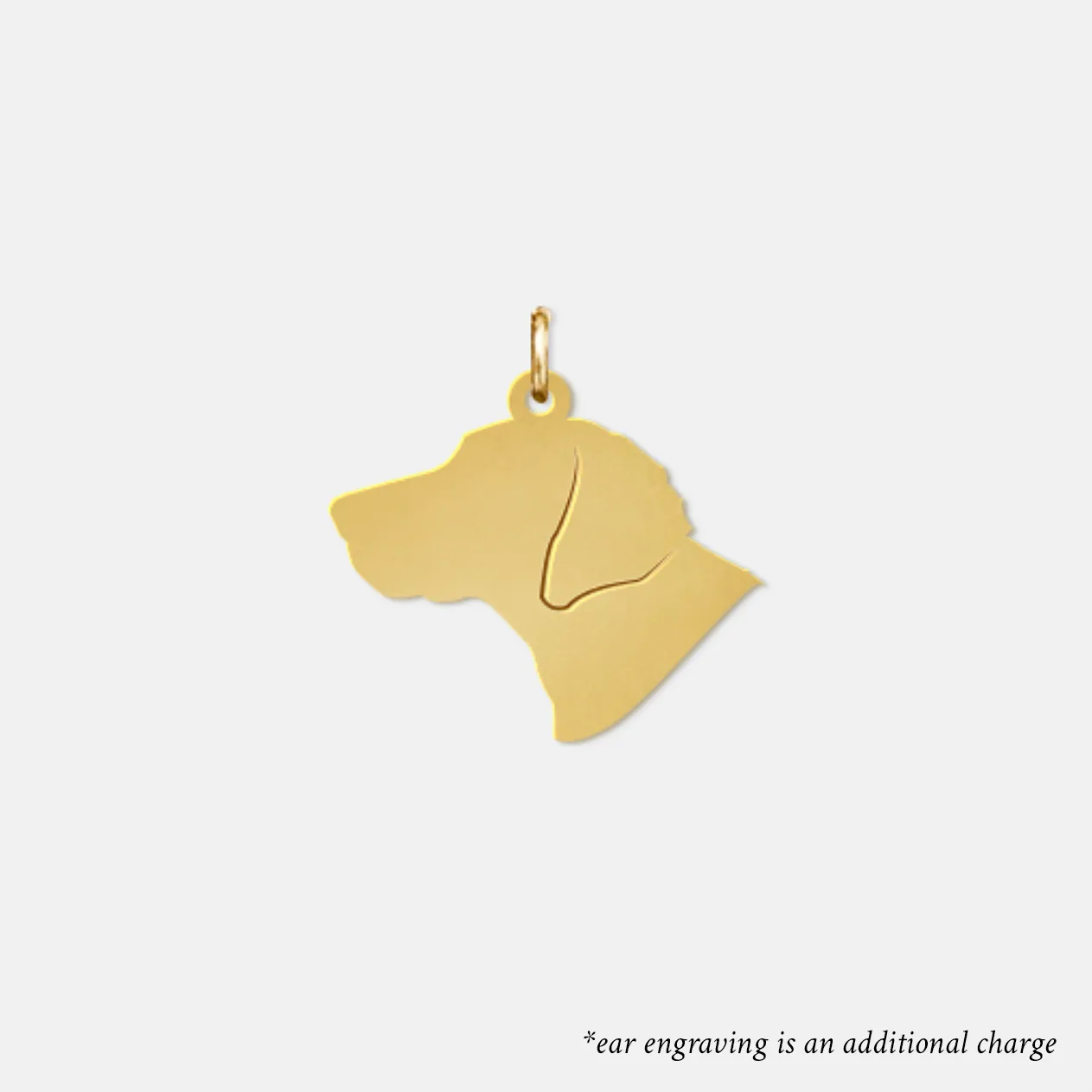 Stock Pet Charm - Medium